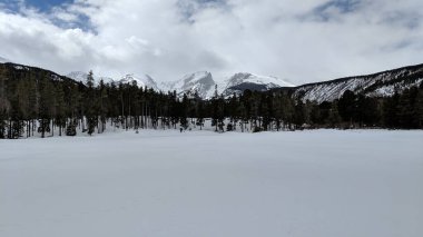Dağların arkasındaki ağaçlarla çevrili karlı bir hava manzarası.