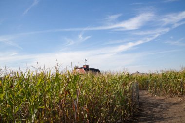 Mavi gökyüzü olan bir kırsal bölge.