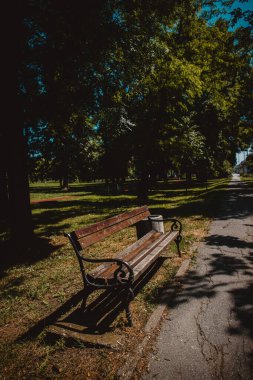 Tahta bir bankın ve parktaki ağaçların dikey görüntüsü.