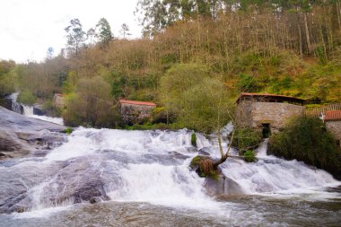 Rio Barosa Şelalesi Pontevedra 'daki Barro doğal parkında - Galiçya - İspanya