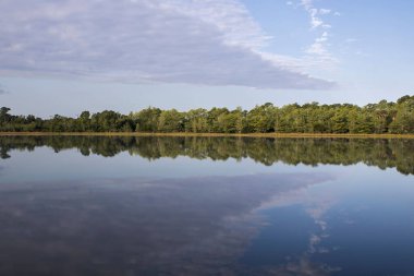 Arka planda ağaçlar olan güzel bir göl manzarası.