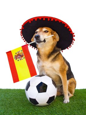 Flamenko şapkalı bir köpeğin portresi, İspanyol bayrağı ve futbol topu