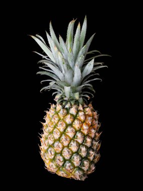 Siyah arkaplanda izole edilmiş bir Ananas (Ananas comosus) yakın plan çekimi