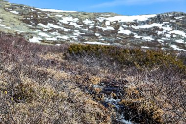 Dağlarla çevrili kırsal bir alanda kurumuş bitki ve bitkilerin manzarası