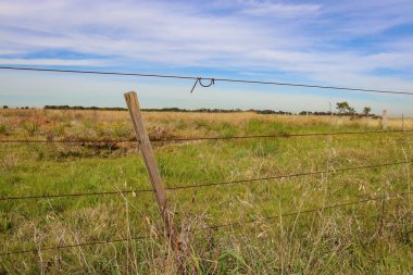Kırsal alan, tarlada tel ve telle çevrili.