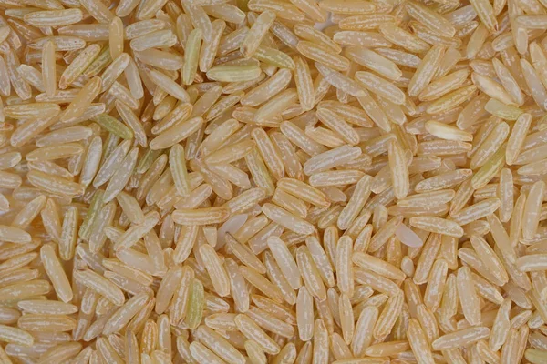 Brown Rice Only Inedible Husk Removed While Bran Layer Cereal — Stock Photo, Image