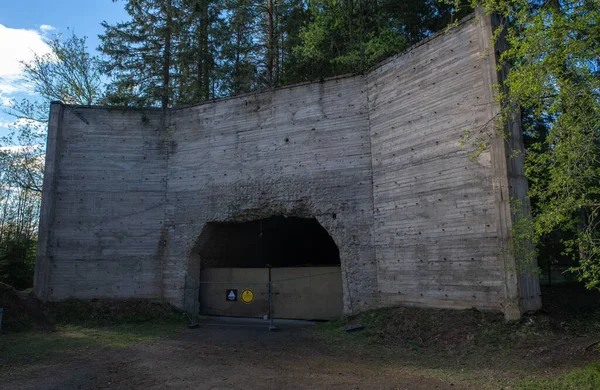 Trandumskogen Una Foresta Situata Ullensaker Luogo Una Delle Prime Scoperte — Foto Stock