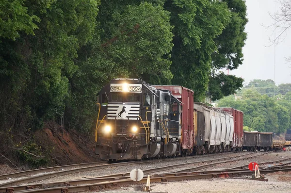 Freight Train Its Headlights Passes Green Forest Freight Cars Railway — Stock Photo, Image