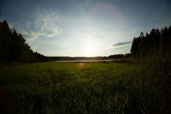 Dech Beroucí Pohled Slunce Modré Zamračené Obloze Oteplující Svěží Zelené — Stock fotografie