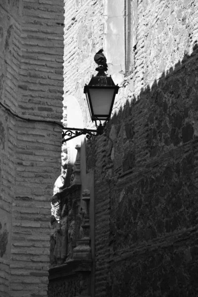 西班牙托莱多老城区一只鸽子栖息在灯笼上的黑白垂直镜头 — 图库照片