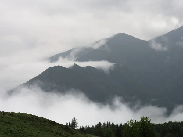 斯洛维尼亚Velika Planina山坡上的松树和背景上的雾蒙蒙的阿尔卑斯山的风景 — 图库照片