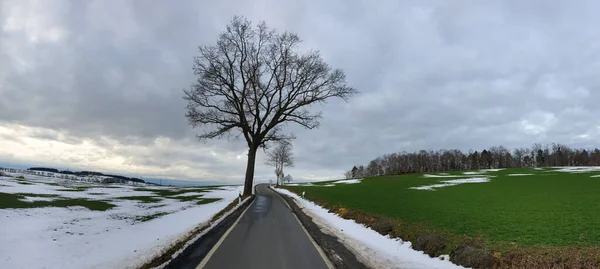 Eine Schmale Straße Umgeben Von Landwirtschaftlichen Feldern Unter Wolkenverhangenem Himmel — Stockfoto