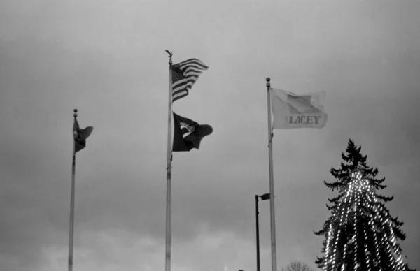 Banderas Washington Pow Ciudad Lacey Frente Árbol Navidad Iluminado Escala —  Fotos de Stock