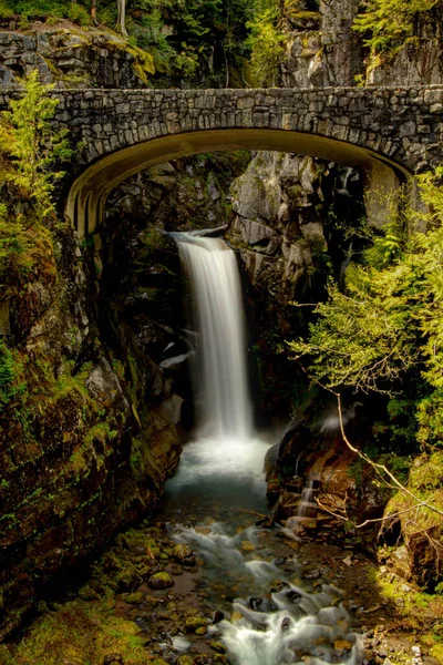 Vertikální Záběr Národního Parku Mount Rainier Washington Usa Christine Falls — Stock fotografie