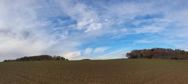 Widok Panoramy Pięknego Lasu Słoneczny Dzień — Zdjęcie stockowe