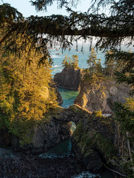 Eine Vertikale Aufnahme Einer Natürlichen Brücke Der Oregon Coast Bei — Stockfoto