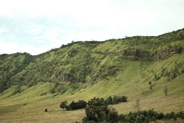 Hermoso Paisaje Verde Ladera Una Montaña —  Fotos de Stock