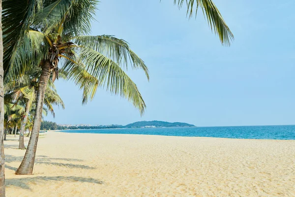 Fridfull Tropisk Strand Med Palmer Nära Ett Lugnt Djupblått Hav — Stockfoto