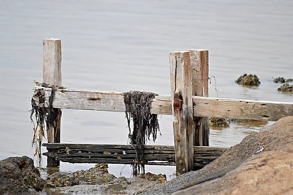 海の近くに古いと苔むした木製の桟橋のクローズアップショット — ストック写真