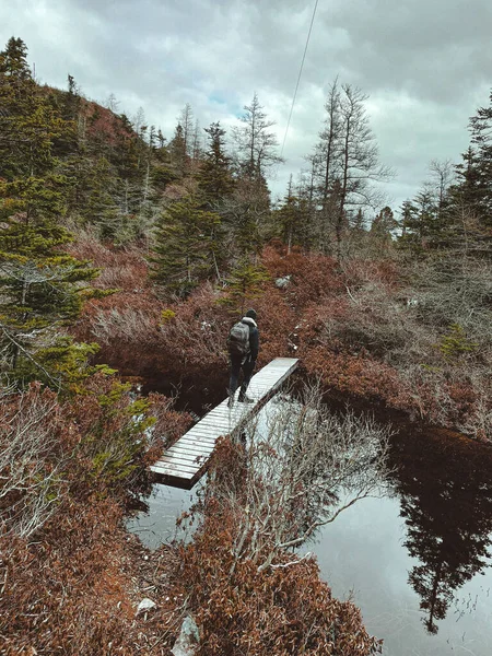 Vertical Shot Man Walking Wooden Path Water — Stock Photo, Image