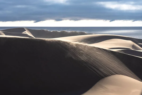 Namibie Désert Namibien Paysage Dunes Jaunes Tombant Dans Mer — Photo