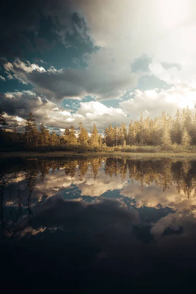 Вертикальный Снимок Озера Небесными Отражениями Окруженного Деревьями Лесу — стоковое фото