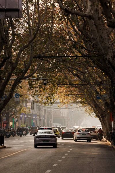 Colpo Verticale Una Strada Con Traffico Automobilistico Sotto Vicolo Alberi — Foto Stock