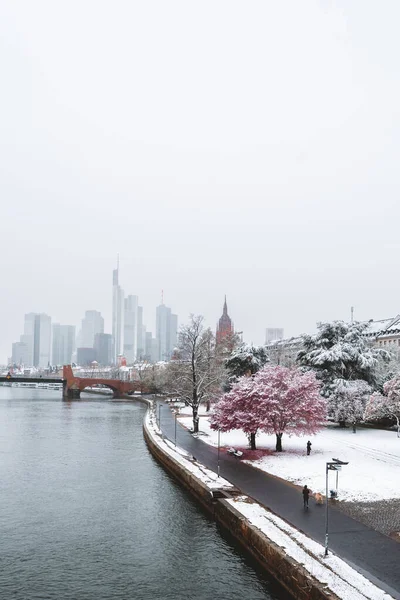 Río Cerca Parque Cubierto Nieve — Foto de Stock