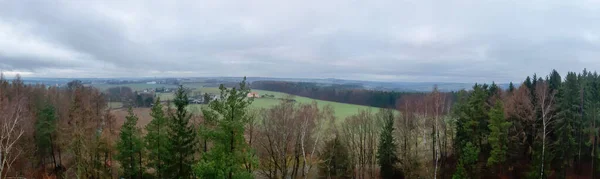 Panorama Utsikt Över Vacker Skog Solig Dag — Stockfoto
