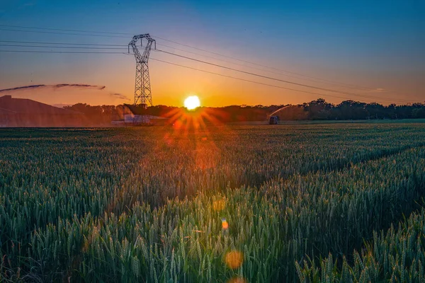 Egy Gyönyörű Táj Egy Zöld Mezőgazdasági Területen Közel Egy Elektromos — Stock Fotó