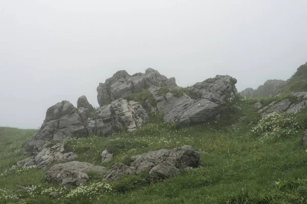斯洛文尼亚Velika Planina 在多雾的山上 一群岩石的特写镜头 — 图库照片