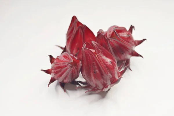 Die Roten Kelche Der Rosellen Pflanze Hibiscus Sabdariffa Können Ein — Stockfoto