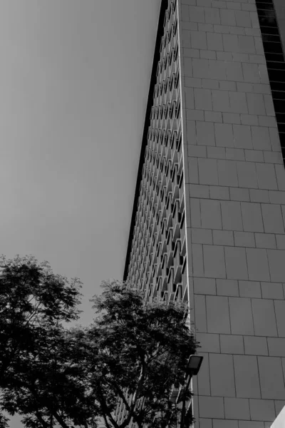 Yakın bir ağaçla birlikte yüksek modern binanın gri tonlu bir görüntüsü.