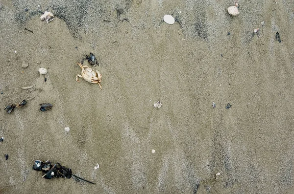 Closeup Της Άμμου Μοτίβο Μιας Παραλίας Μια Συννεφιασμένη Υγρή Ημέρα — Φωτογραφία Αρχείου