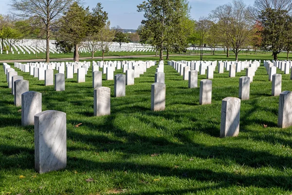 Vita Gravstenarna Arlington National Cemetery Usa — Stockfoto