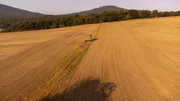 Tiro Aéreo Floresta Turíngia Com Árvores Montanhas Fundo Alemanha — Fotografia de Stock