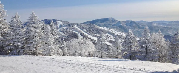 Japonya Yamanouchi Deki Shiga Kogen Güzel Kayak Alanının Panoramik Manzarası — Stok fotoğraf