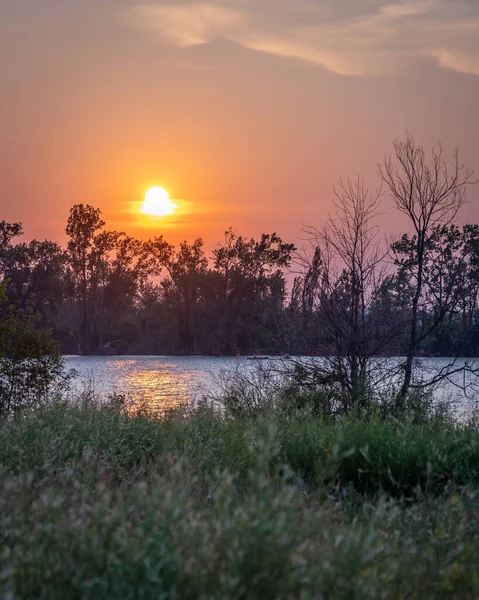 湖の上の美しい夕日の垂直ショット — ストック写真