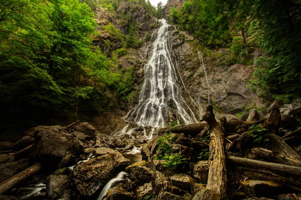 Waterfall Olympic National Park Washington State Surrounded Lush Vegetation Fallen — Stock Photo, Image