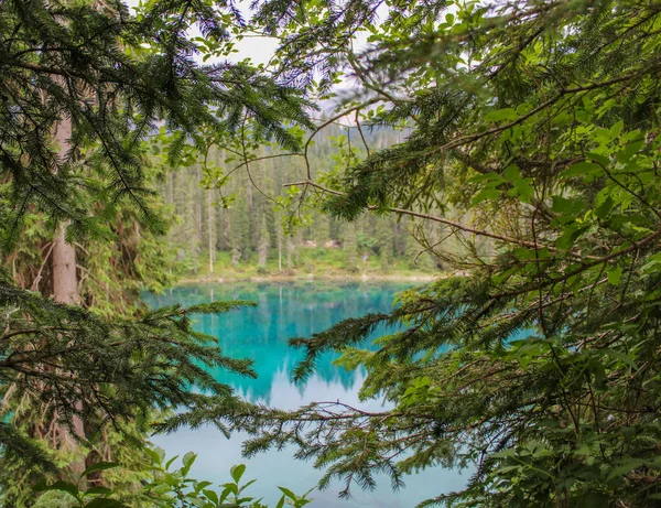 森林中的绿松石湖被绿色的植被环绕着 — 图库照片