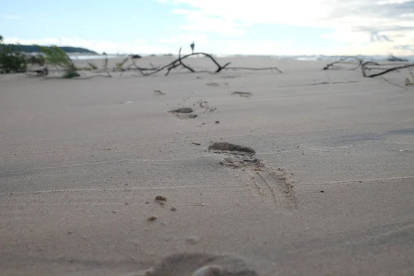 Крупный План Отпечатков Обуви Песке — стоковое фото