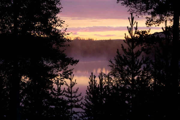 Gün doğumunda İsveç 'te doğal bir göl ve orman manzarası.