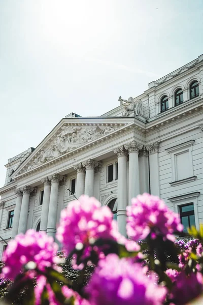 Zdjęcie Pionowe Starego Budynku Architektonicznego Rozmytymi Kwiatami Pierwszym Planie Hamburg — Zdjęcie stockowe