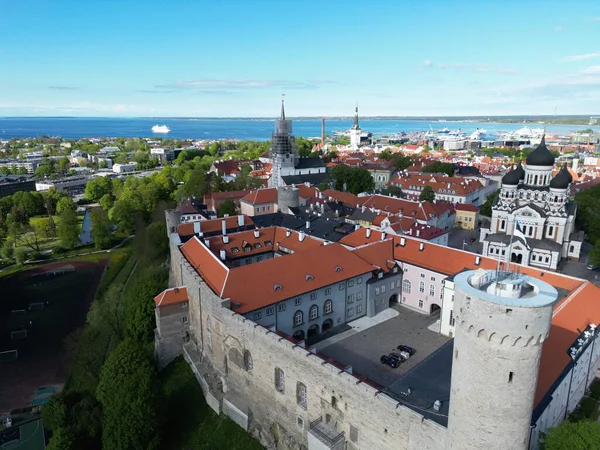 View Toompea Castle Alexander Nevsky Cathedral Cityscape Tallinn Estonia — Stock Photo, Image