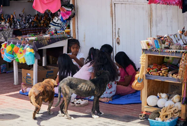 Grupo Crianças Sexo Feminino Sentadas Chão Cidade Redor Com Cães — Fotografia de Stock