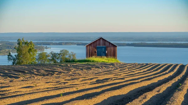 瑞典草地上的小木屋的美丽景色 — 图库照片