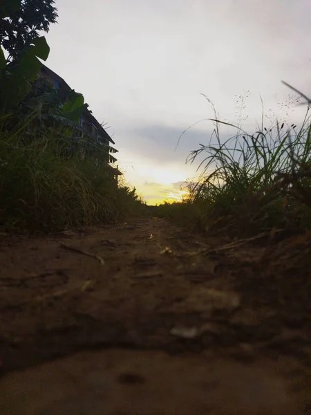 Вертикальний Знімок Шляху Через Рисове Поле Під Небом Заходу Сонця — стокове фото