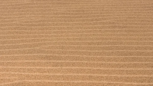 Namibia Sandkorn Sanddynerna Konsistens Bakgrund — Stockfoto