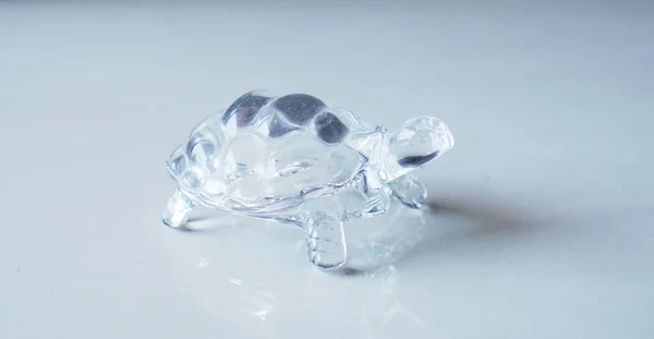Closeup Crystal Tortoise White Surface — Stock Photo, Image