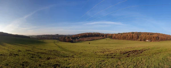 Een Panoramisch Uitzicht Een Prachtig Bos Een Zonnige Dag — Stockfoto